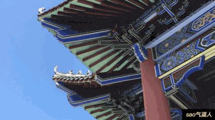 翁源东华地窖酒,韶关翁源赏荞麦花