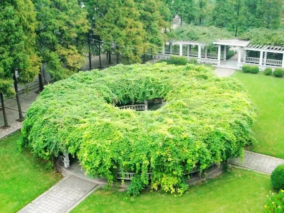 徐州生物工程职业学院2024年单招,徐州生物工程职业技术学院升本科