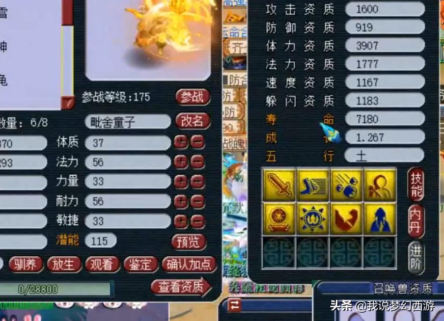 梦幻西游高级强力打书,梦幻西游2024挖宝玄学