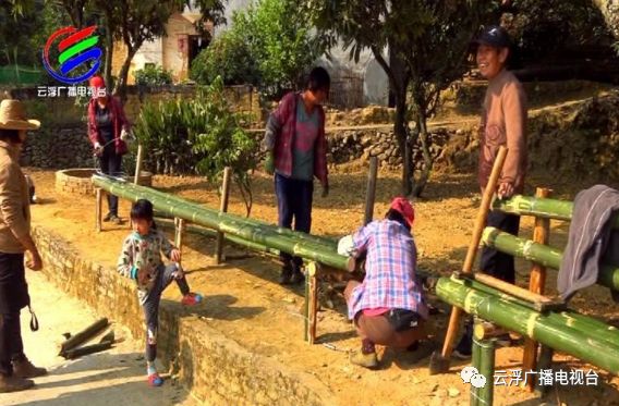 多彩云浮丨美“荔”宝珠，东进融湾