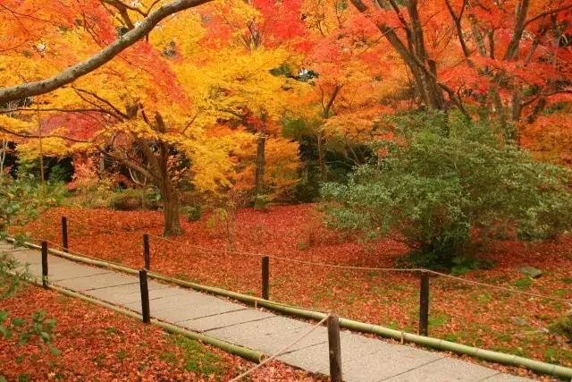日本是一个值得一去再去、并深入探索的国家