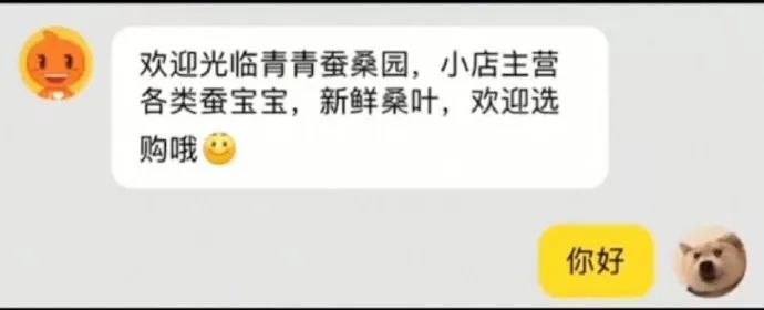 “不带口罩试试,试试就逝世!”网友:哈哈这操作令人瑟瑟发抖
