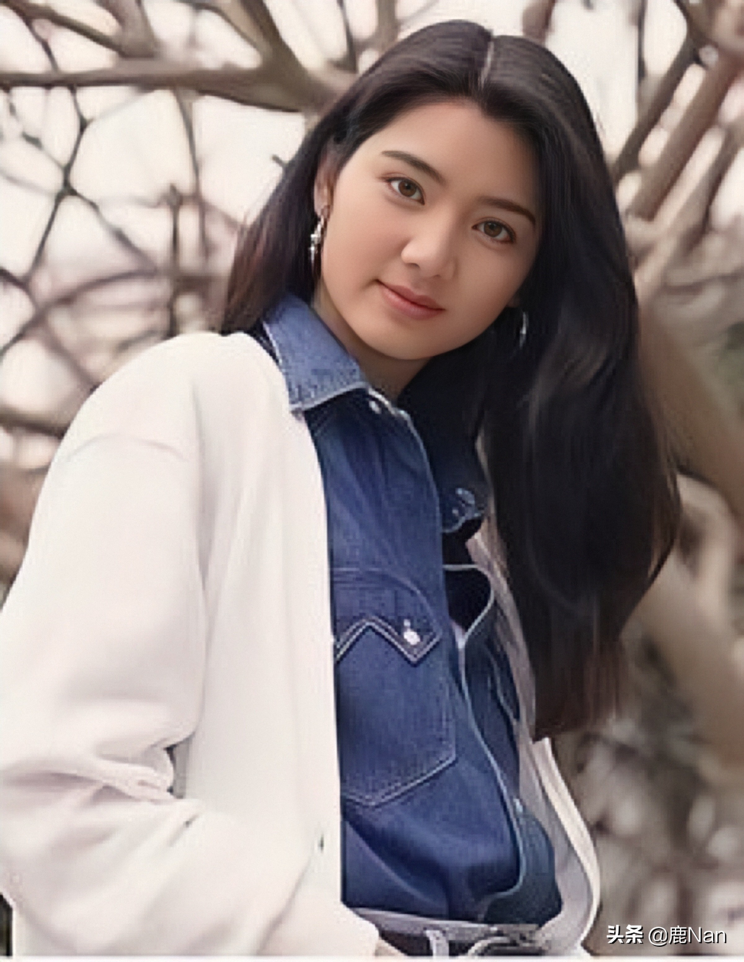 洪欣的个人简介,洪欣以前的情感史