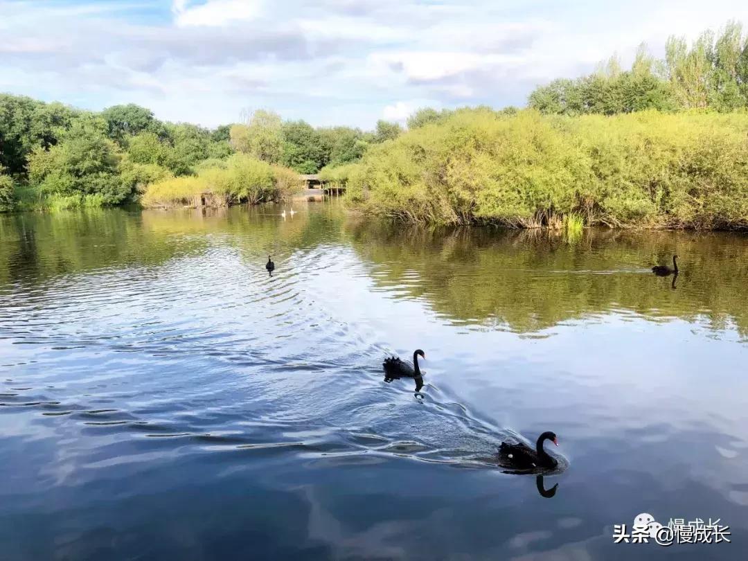哈尔滨去威海亲子游,哈尔滨旅游攻略亲子游四天三夜