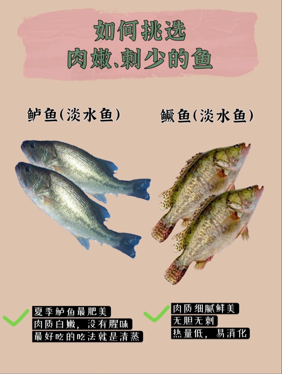 烤鱼选什么鱼刺少,有刺和无刺的鱼哪种好