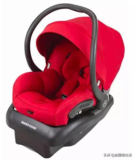 加拿大养小孩福利,加拿大养宠物必备什么