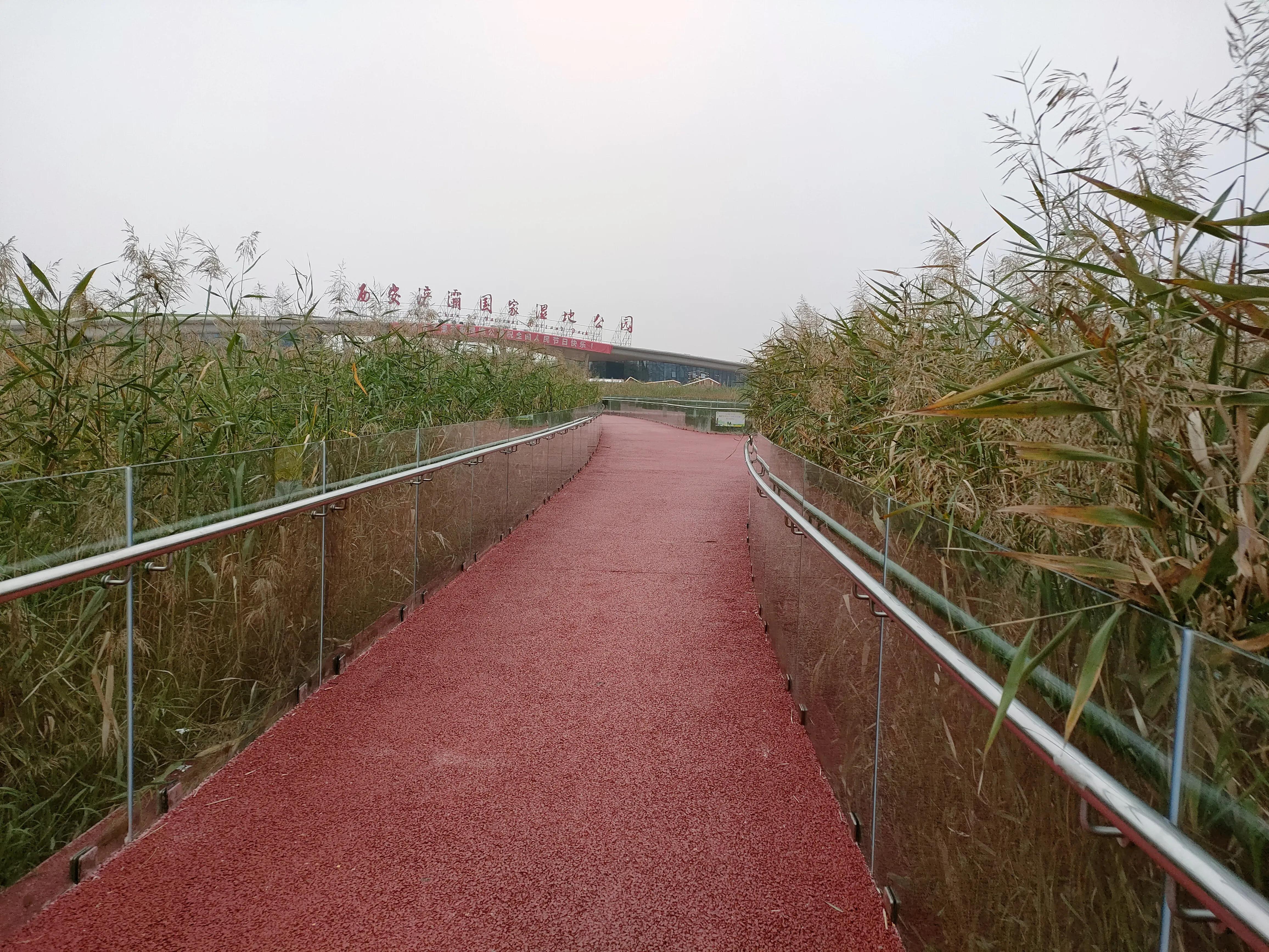 游西安曲江海洋极地公园,国庆去西安海洋极地公园