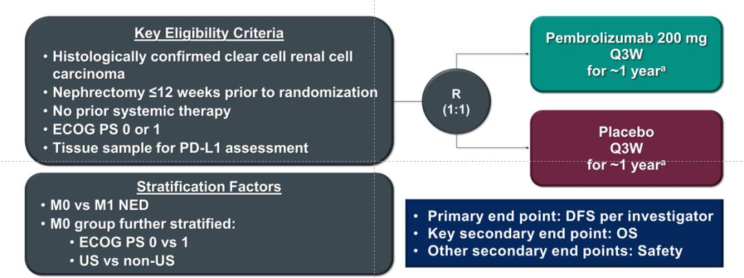 肾癌免疫治疗综述,李医生谈癌