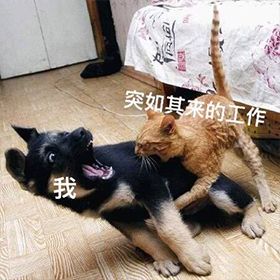 早上好真实会动的动态表情包,当代年轻人的真实现状表情包