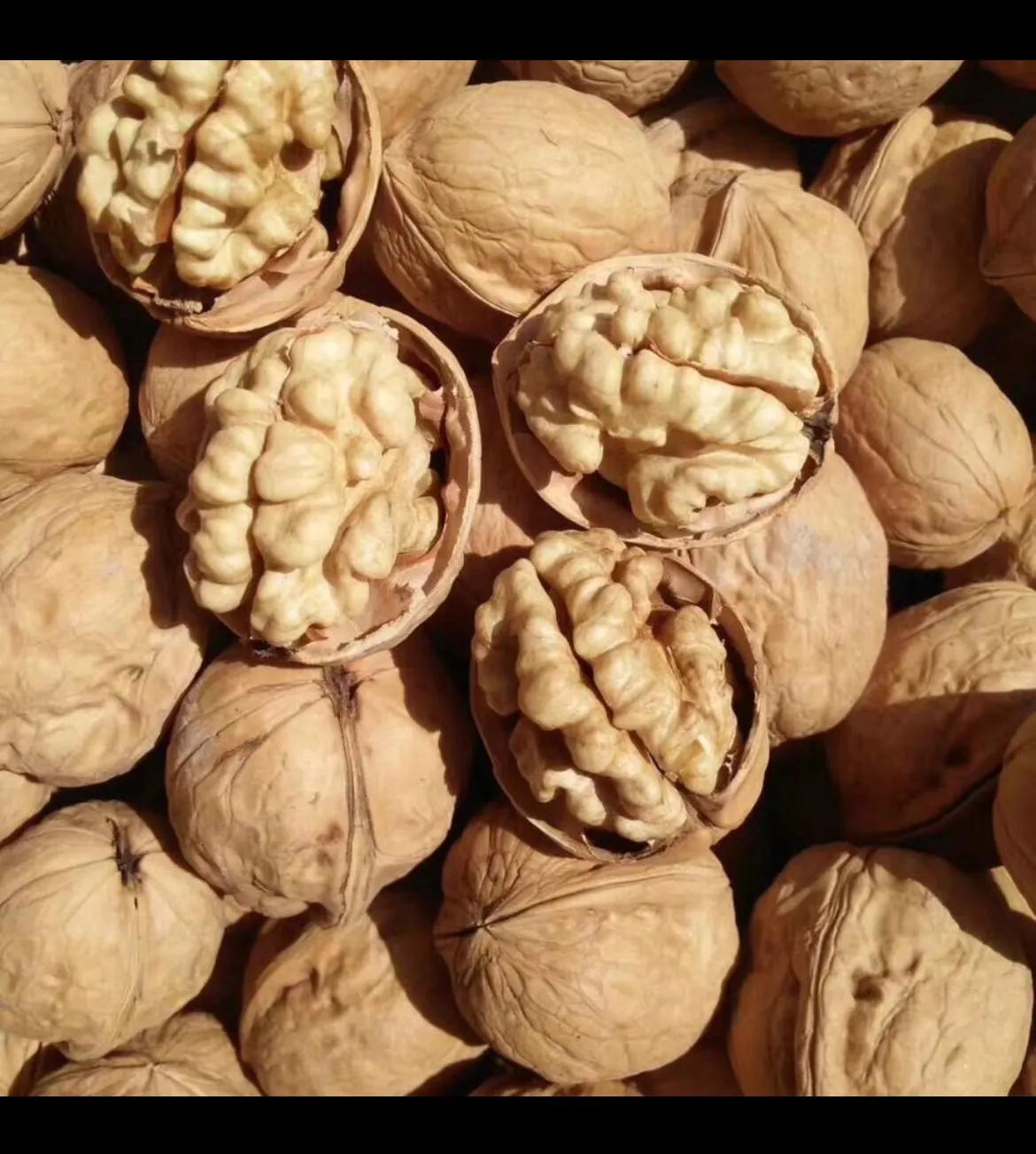 在神经学专家眼里,什么才是最好的大脑健康零食