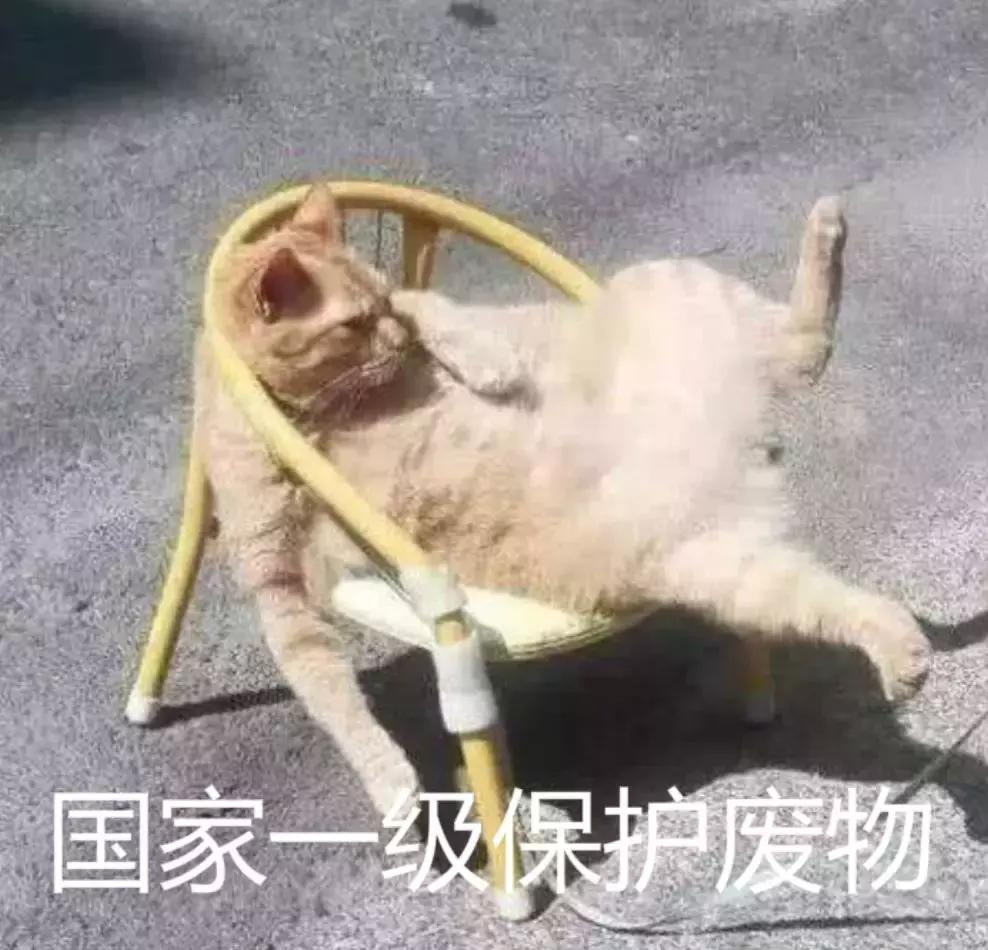 恭喜!天津10所高中45人提前锁定清华北大!耀华中学排第五