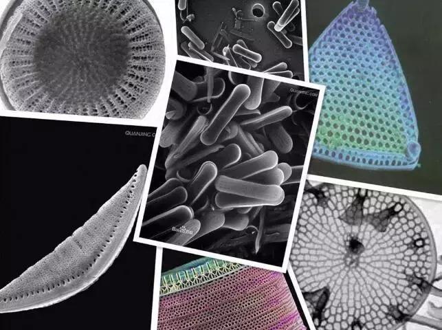 为什么这“一块板子”成了小红书、淘宝爆款?