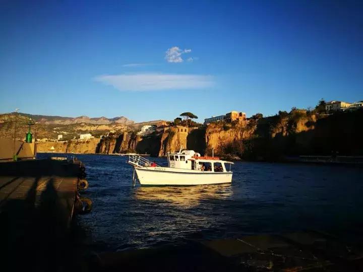 准备出国发现护照丢了,出国护照丢了最快回国办法