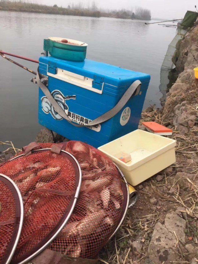 天凉了野钓该怎么钓,天热钓鲫鱼的正确方法