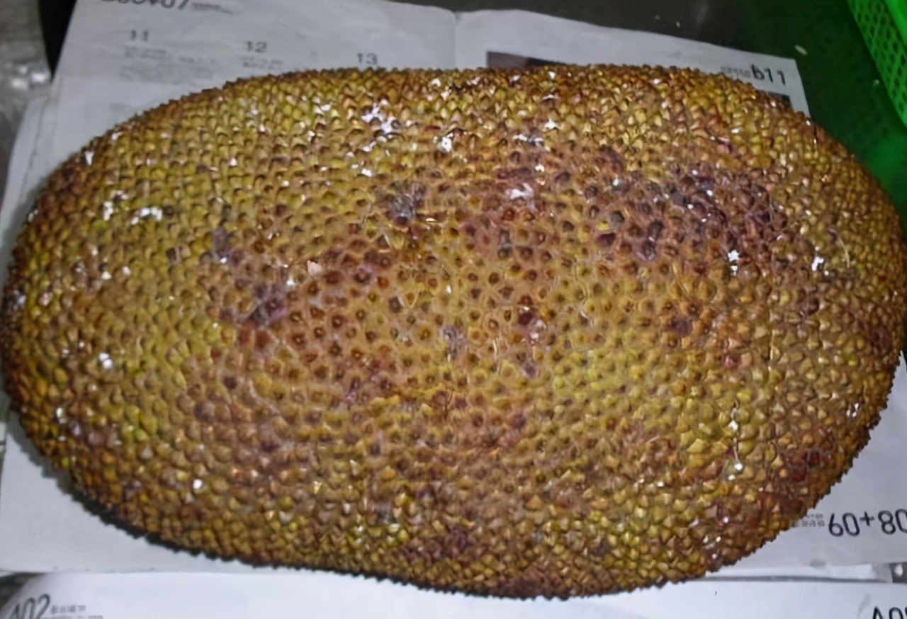 女子网购菠萝蜜,25斤只花60元,本以为会被坑,打开发现赚了