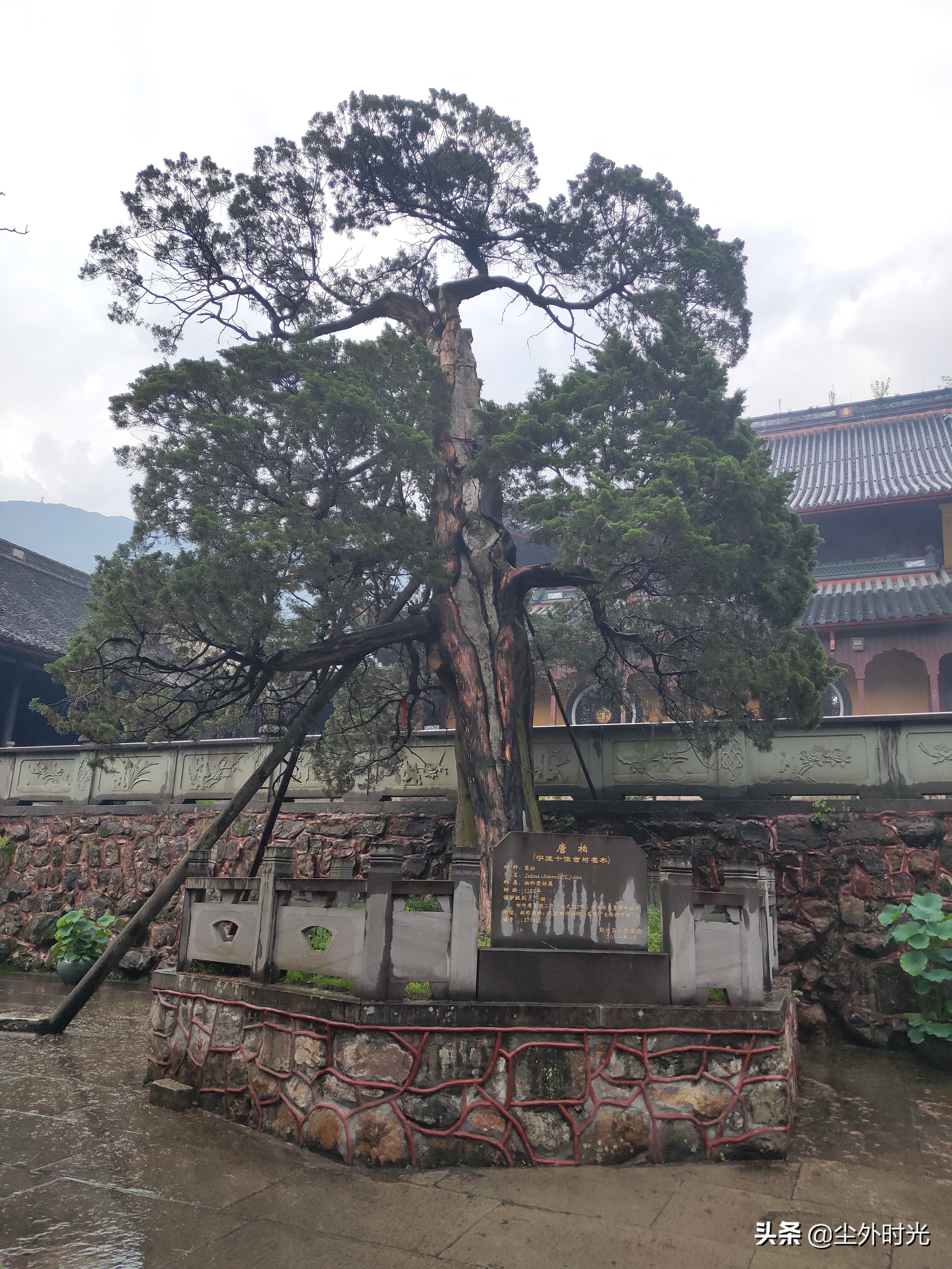 游人间仙境天童禅寺/白晓辉/尘外时光