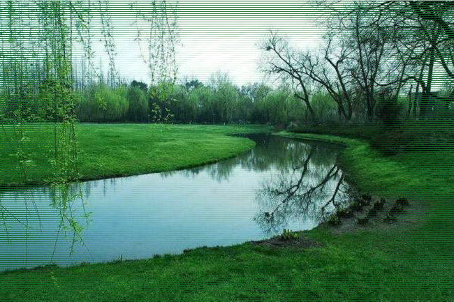 关于抒情散文你知道多少,有关抒情的诗