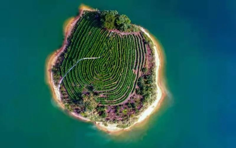 杭州的秋天随处可见都是美景,杭州西溪湿地美成调色盘