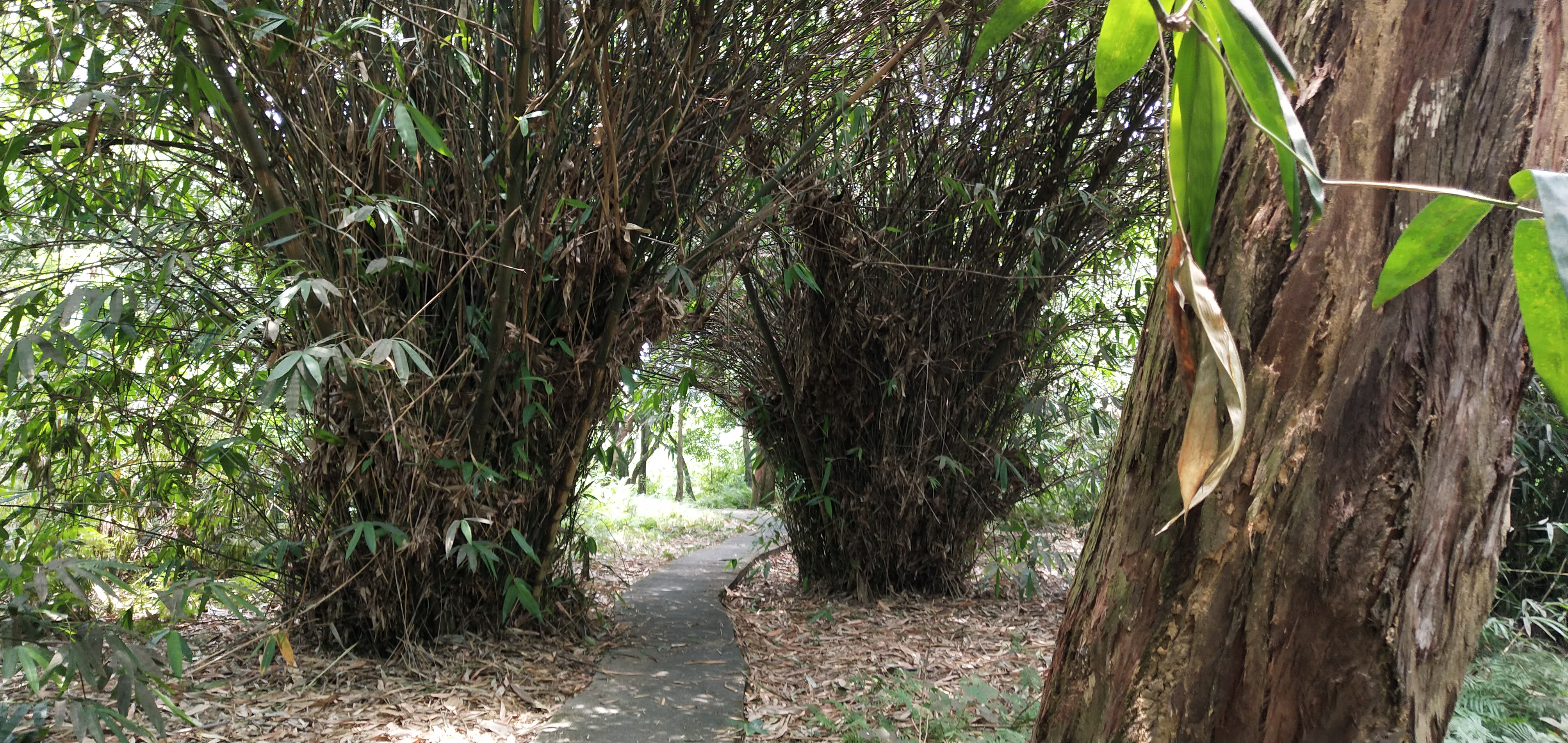 韶关旧貌与新貌,韶关生态环境与治理