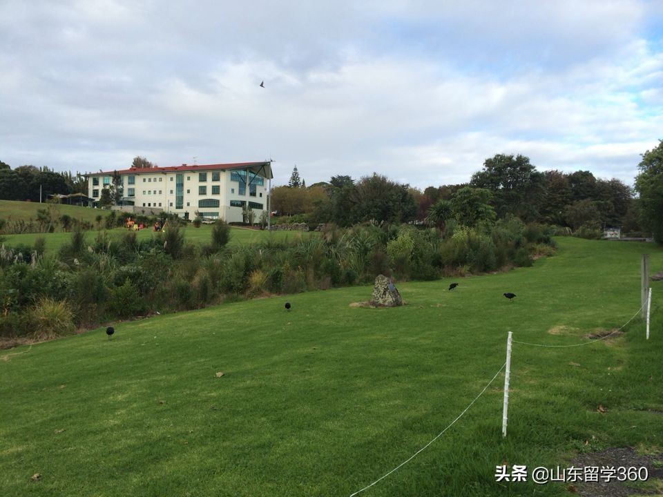 新西兰留学热门院校推荐,新西兰留学移民读什么学校