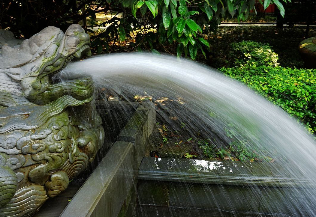 死掉的硝化菌,用了硝化菌鱼大量死亡