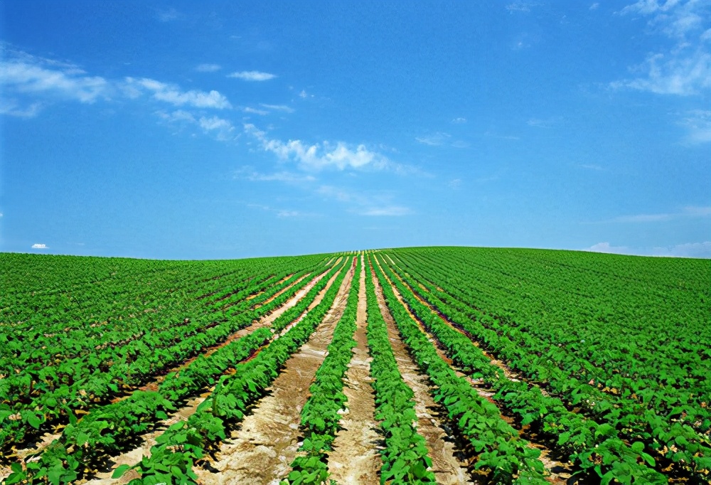 环境可靠性测试基础知识 (环境可靠性测试项目)