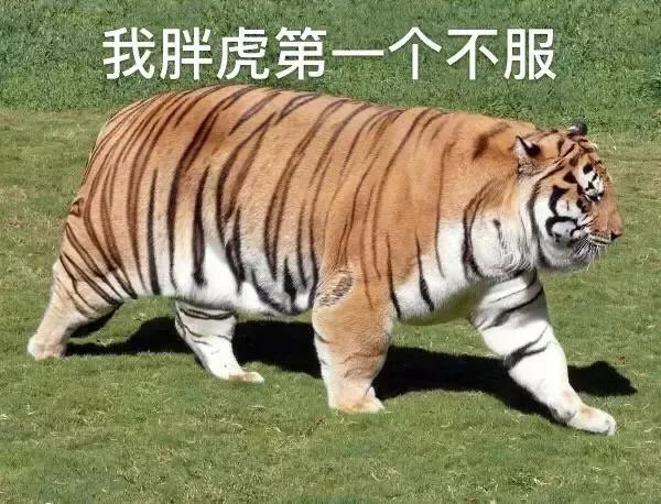 158cm插画师与199cm男友的日常，网友：边笑哭边吃狗粮