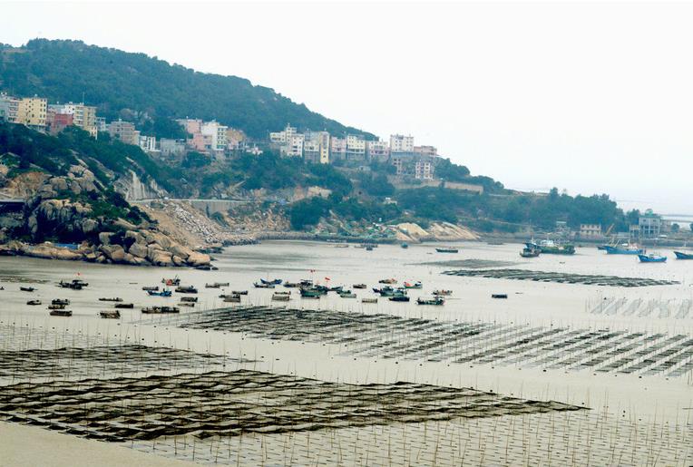 泥鳅养殖新技术发展前景,河中网箱养黄骨鱼好还是泥鳅好