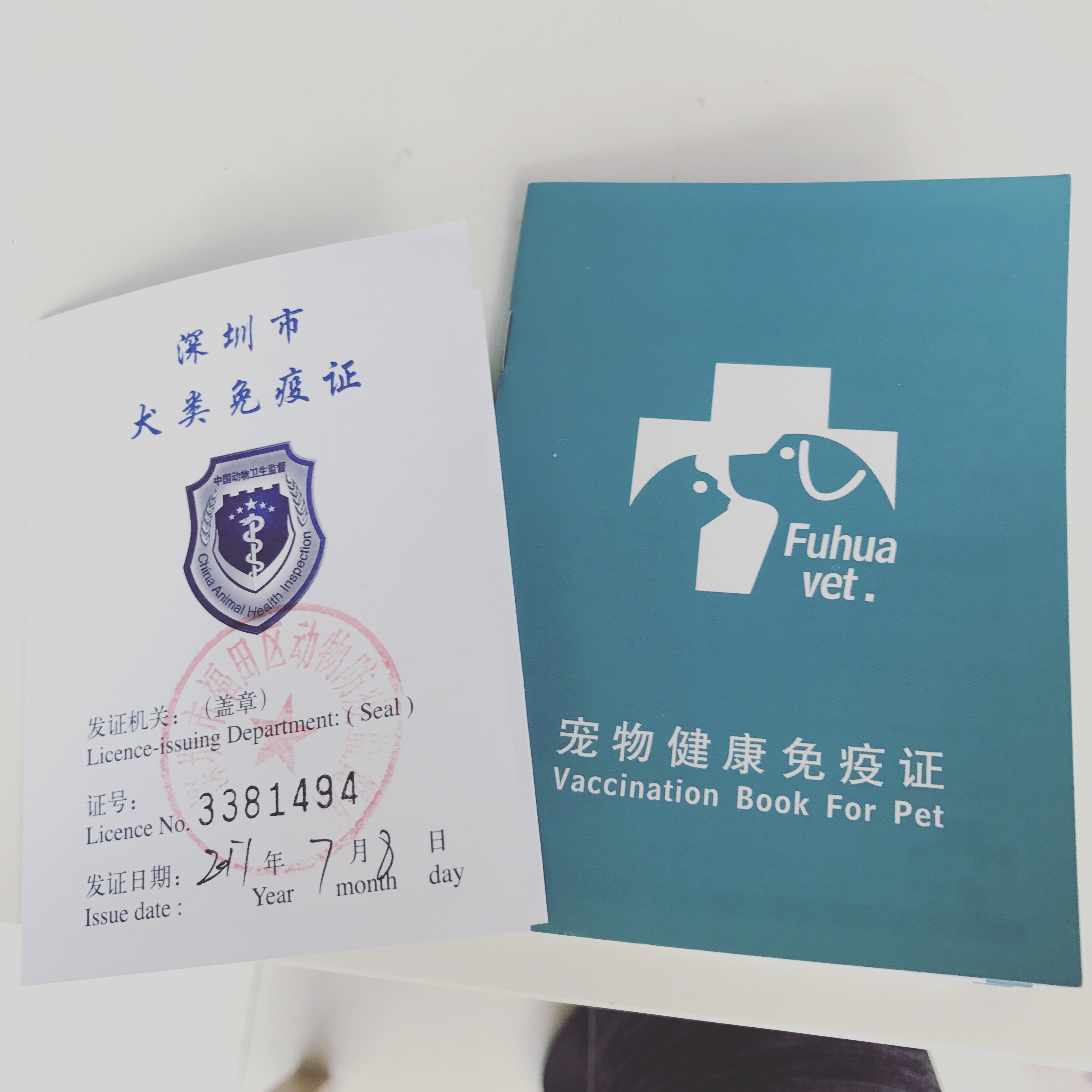 我的狗生病了但是还很活泼,一只狗得了犬瘟最后痊愈了