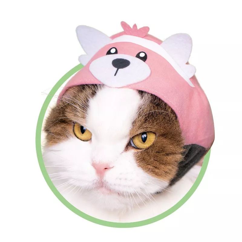 是天堂、是罪恶，200日元就能体验的快感