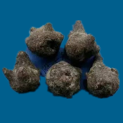 附子的种类图片大全,附子有多少种品种图片