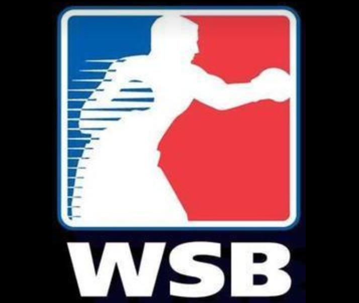 鎷冲嚮瑁佸垽瑙勫垯,鎷冲嚮瑙勫垯浠嬬粛