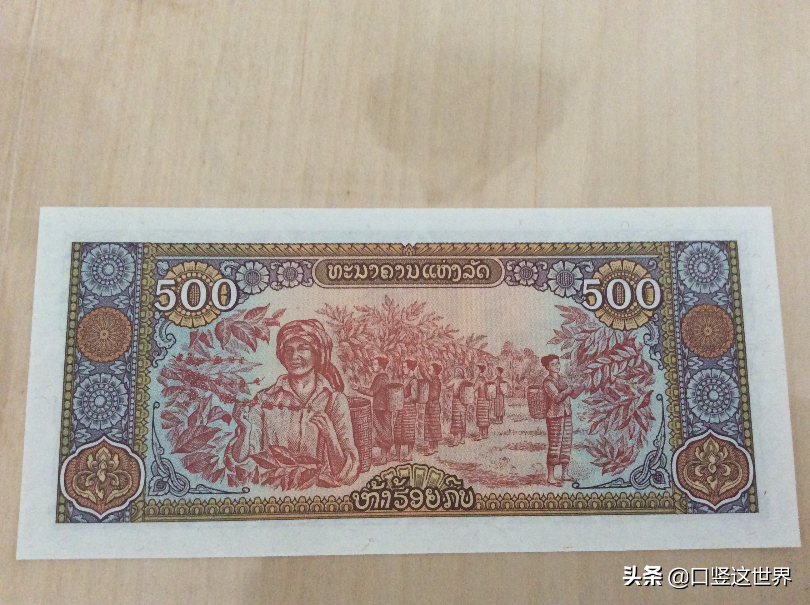 传统的老挝咖啡,经典老挝咖啡