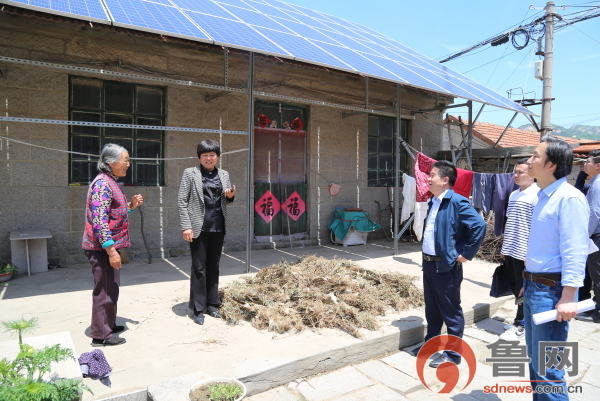 日照索隆,日照绿茶价格表