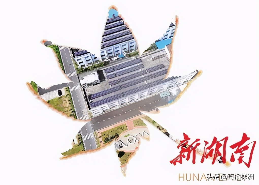 湖南日报最新新闻报道,湖南日报视频