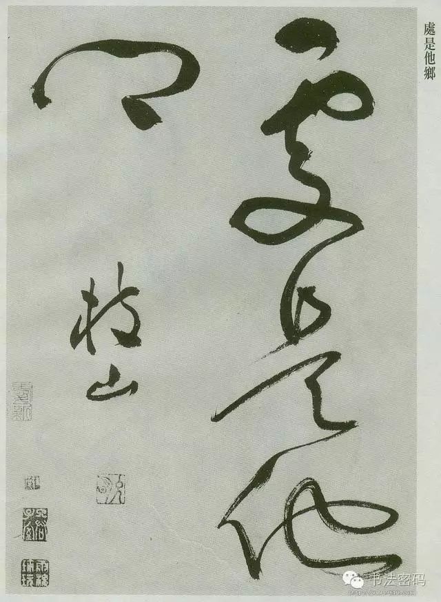 草书必须要掌握的基本笔画,草书讲究线条吗