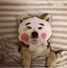 爆痘闭口做什么项目,爆闭口怎么办