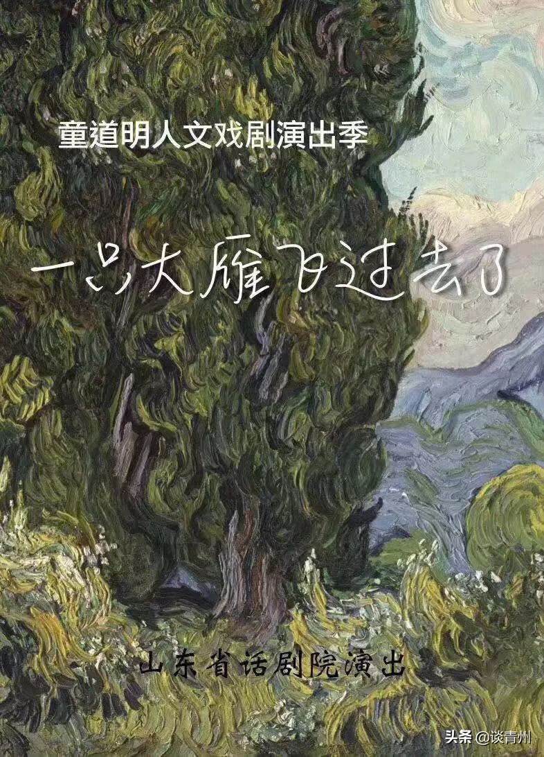 2019最后一个月，山东也太有戏了吧！这些爆款剧演，真怕你错过