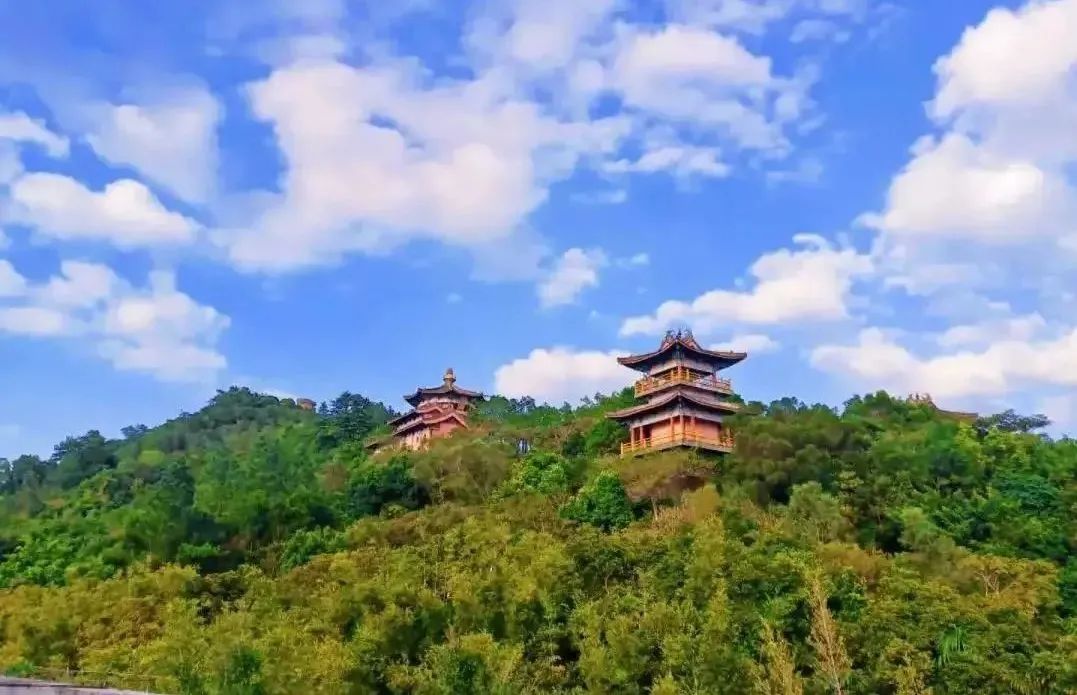 美美美!海南这几家新增的“金宿级”民宿,你想要的诗和远方都有