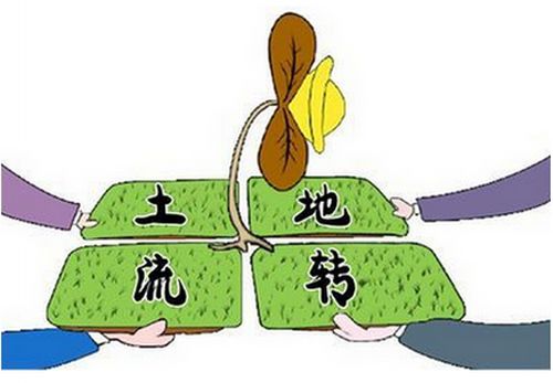 未来5年农业行情分析,农业盈利模式图解