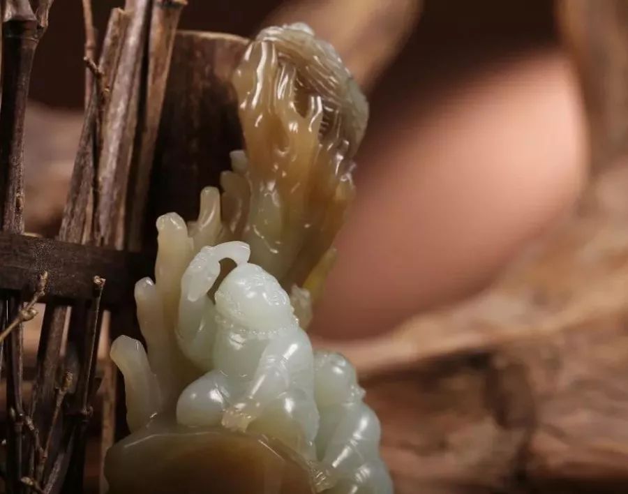 糖玉是智商税吗,糖玉价格上涨了吗