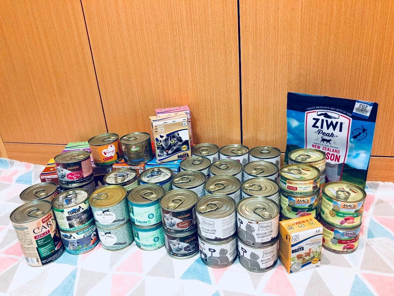 健康的猫不出门也会得猫瘟吗,完全不出门的猫会生病吗