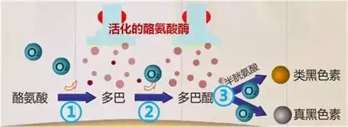 这些护肤成分不要混着用,护肤成分没选对会烂脸