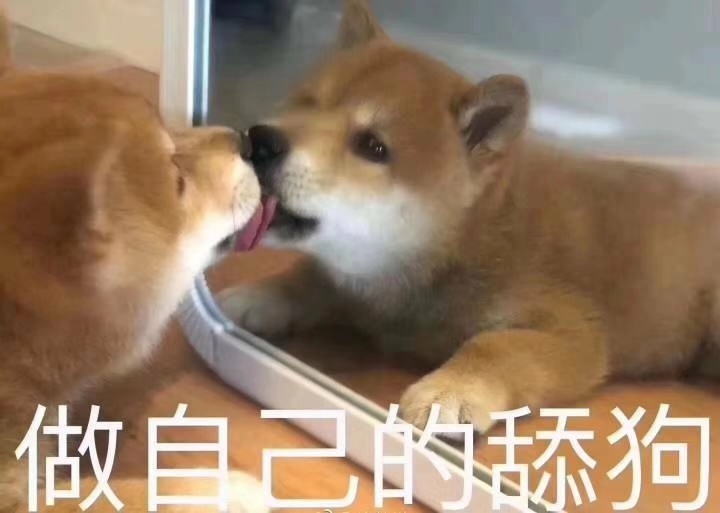 怎么应对舔狗,怎么样克服不自觉舔狗