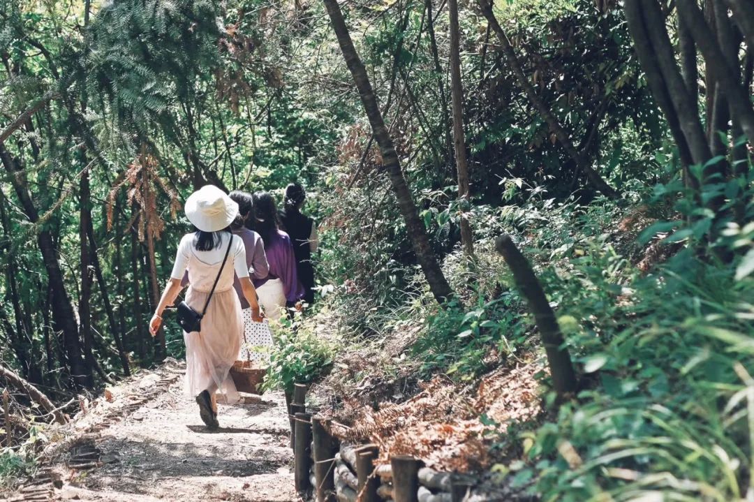 民宿管家招募,民宿管家点亮乡野生活的魔法师