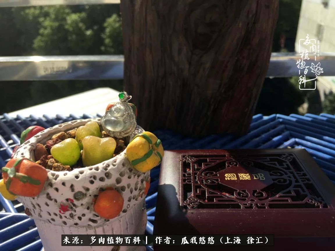 享受岁月,享受岁月静好歌曲原唱