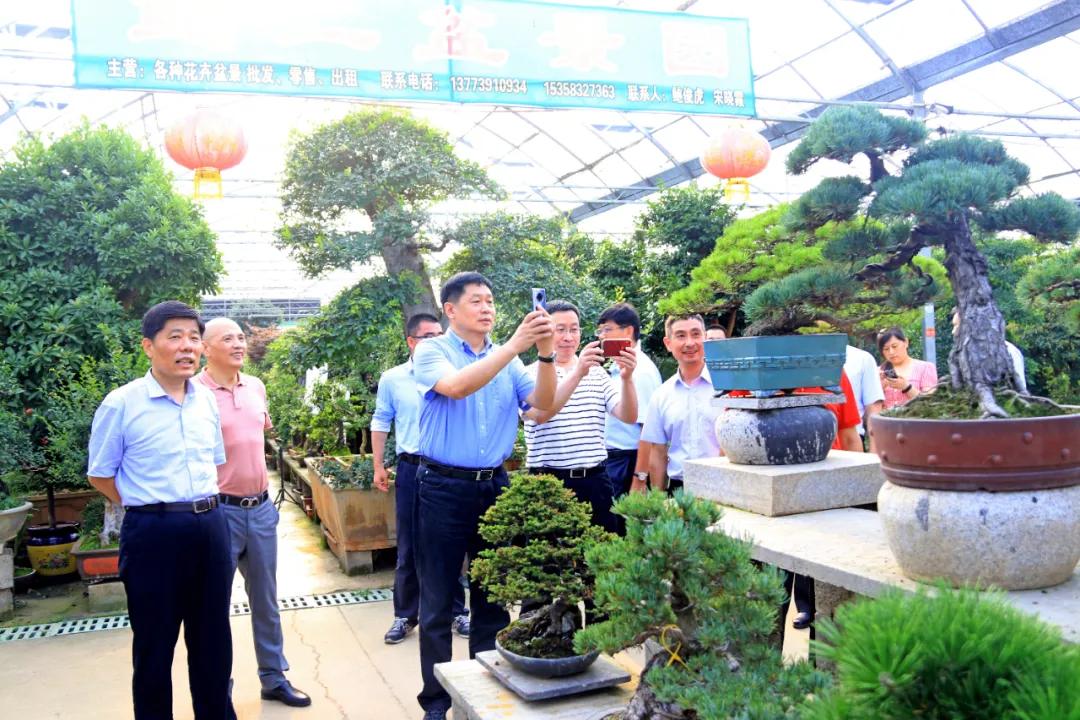 宿迁市沭阳县沭阳国际花木城,沭阳国际花木城布局