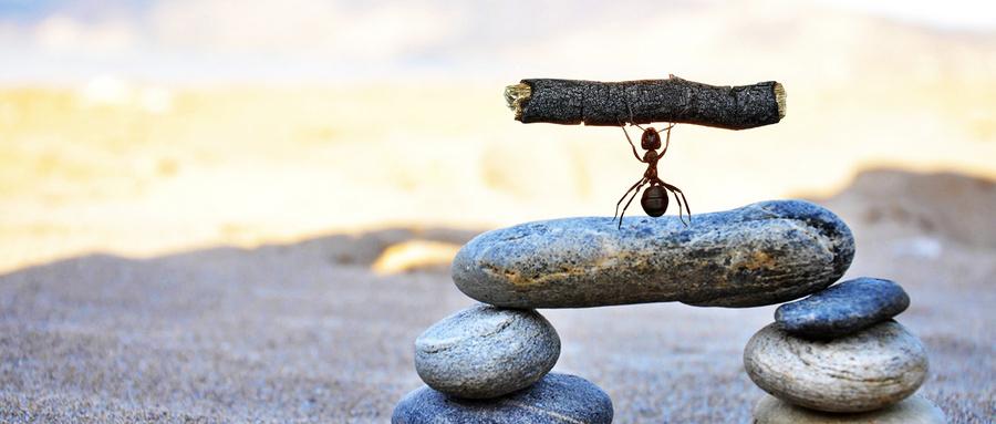 tcl集团营收和利润,tcl净利润3亿