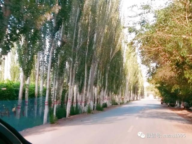 去库木塔格沙漠的感受,去新疆库木塔格沙漠最佳时间