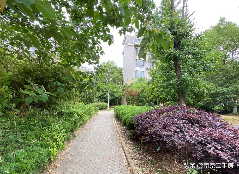 刷新单价！挑高小户型9天成交，中介直言：性价比超高